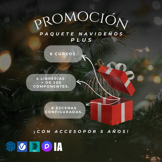 PAQUETE NAVIDEÑO PLUS