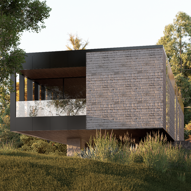 Paquete D5 RENDER básico